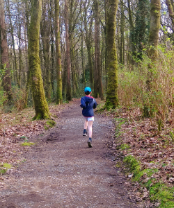 Avondale Forest Park