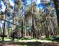 Tibradden Wood Tree Adventure Park